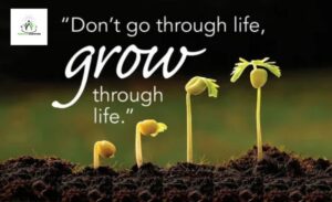 How to Grow Through what You Go Through