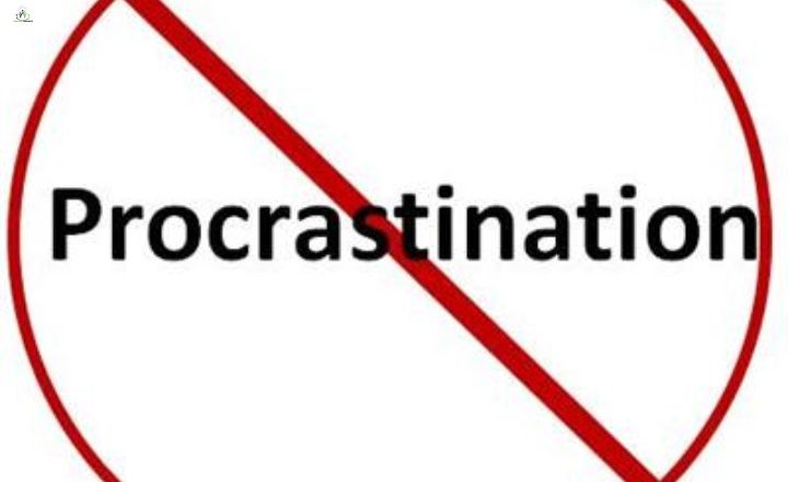 stop procrastinating