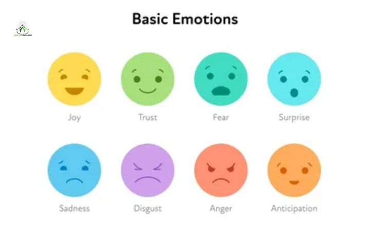 Identify the emotion that is not a primary emotion